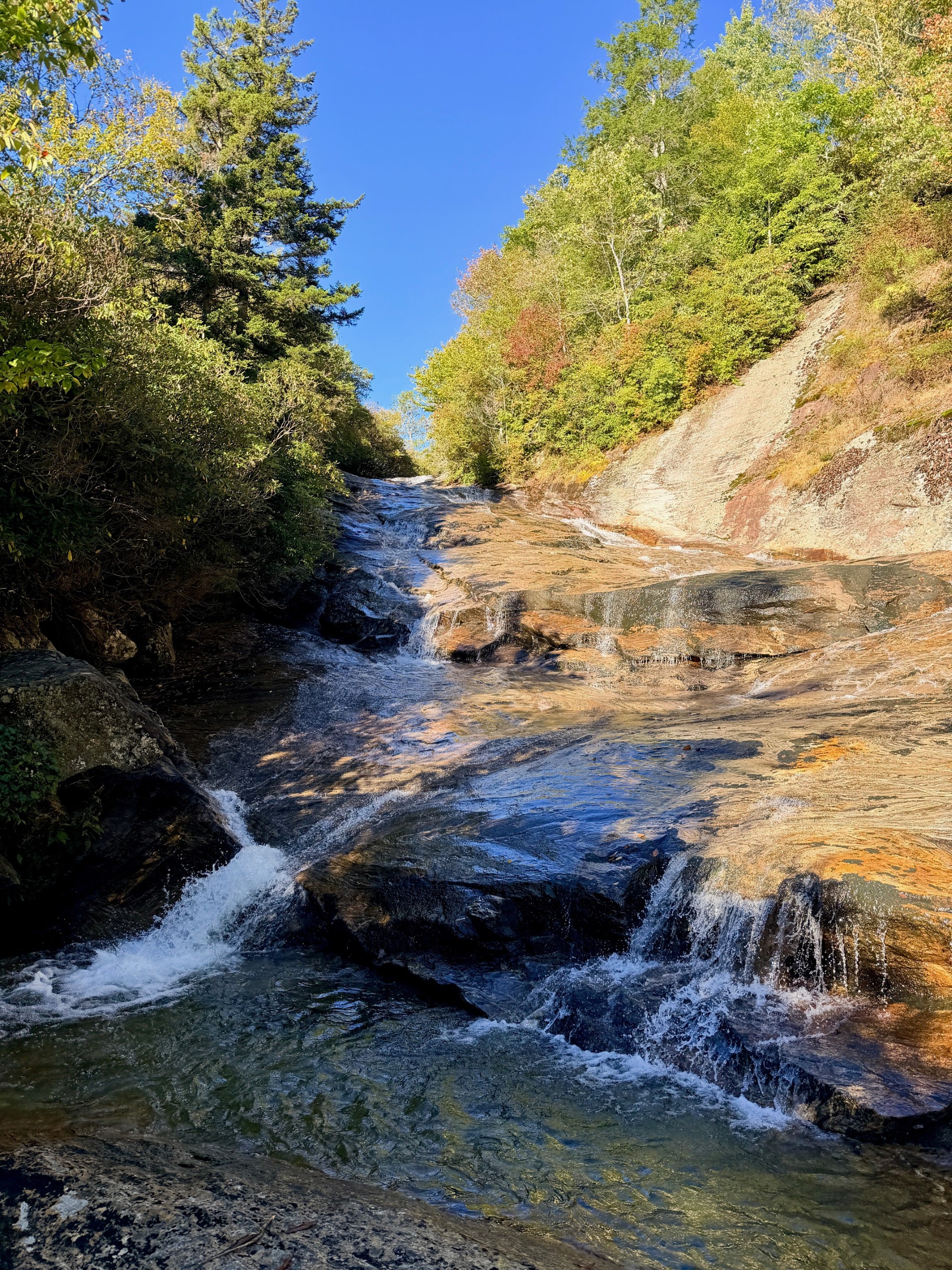 A great fall waterfall hike in Asheville — trail photo